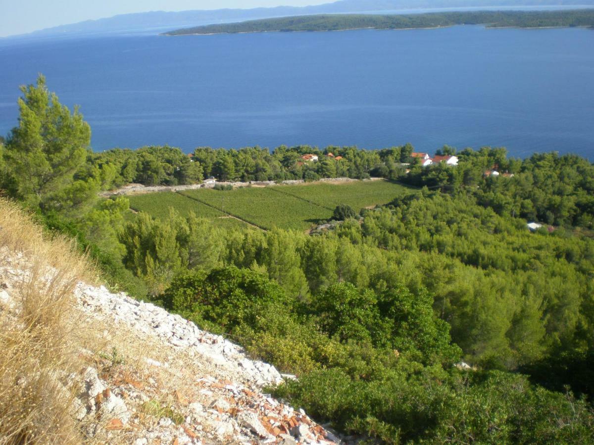 Hvar Melody, Island Hvar, Rosohotnica Bay Basina Exteriér fotografie