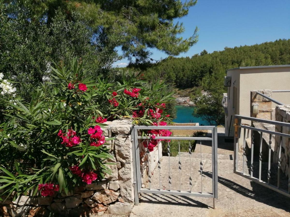 Hvar Melody, Island Hvar, Rosohotnica Bay Basina Exteriér fotografie